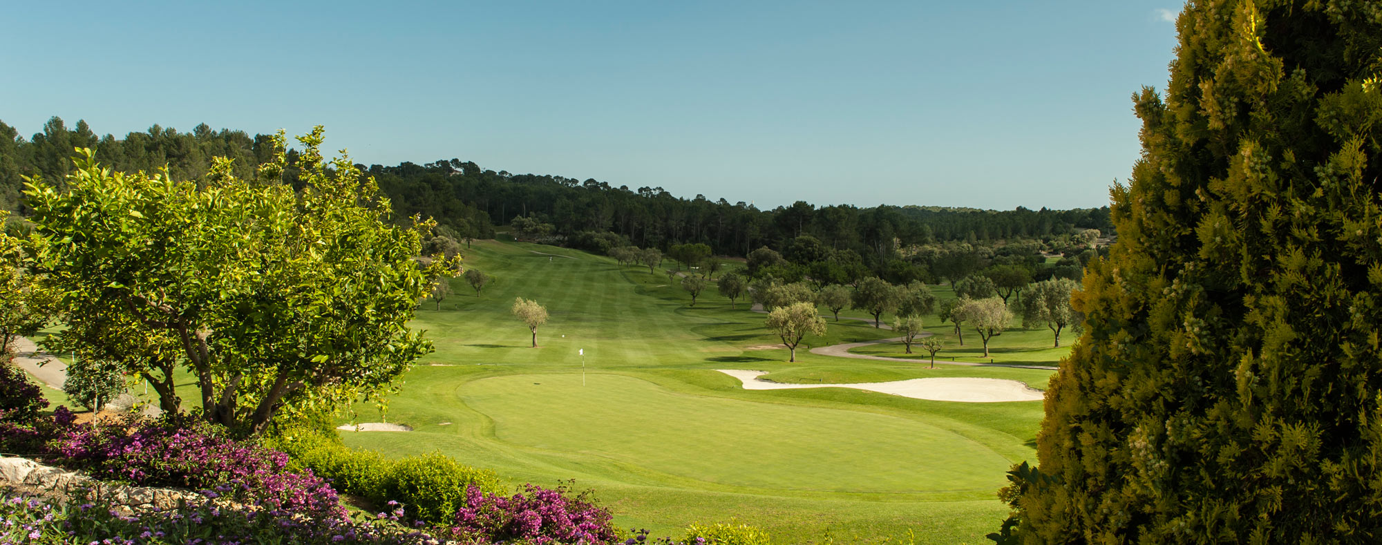 provoyage golf
